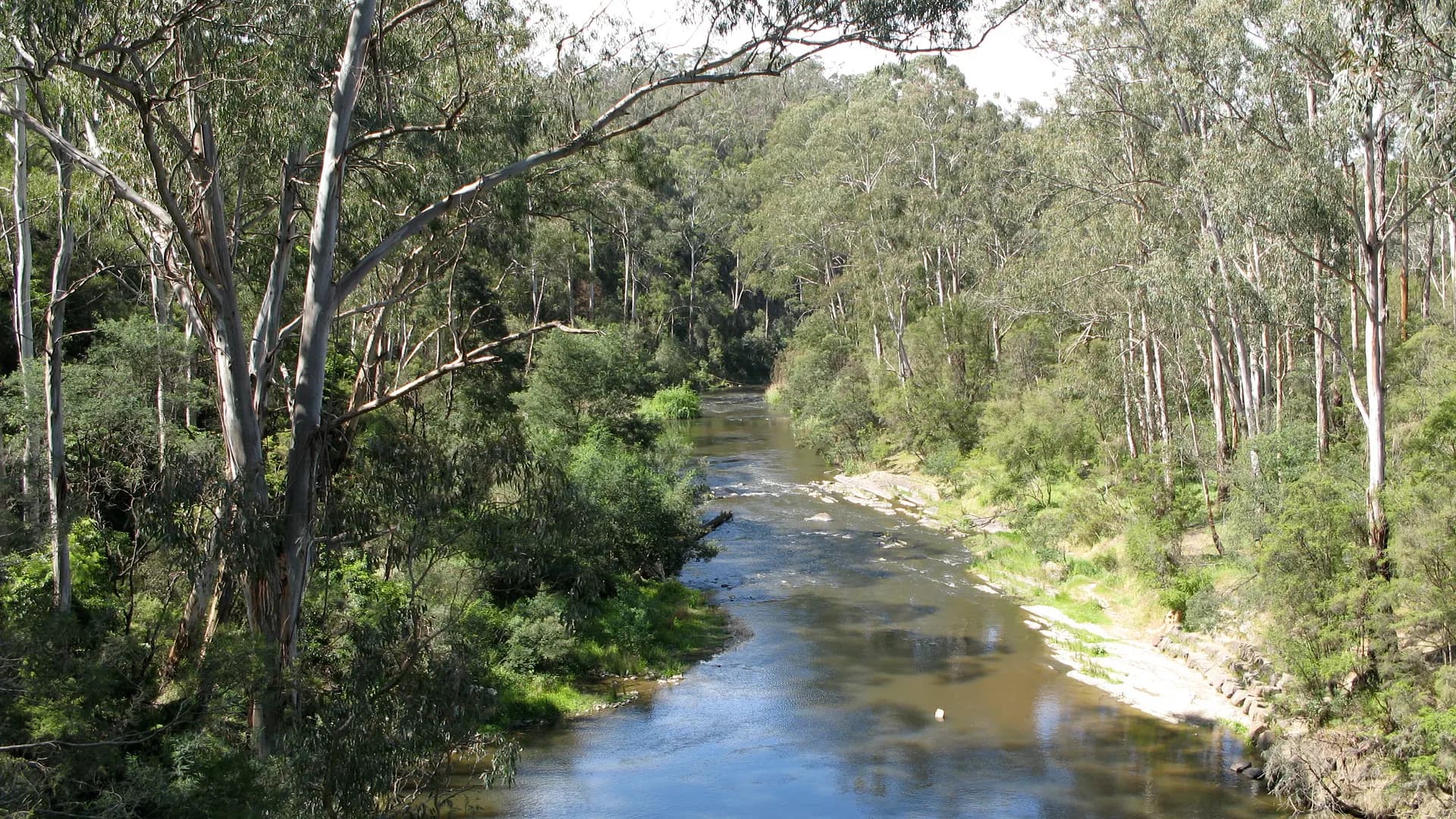 River flats and woodland beside the Yarra at Warrandyte