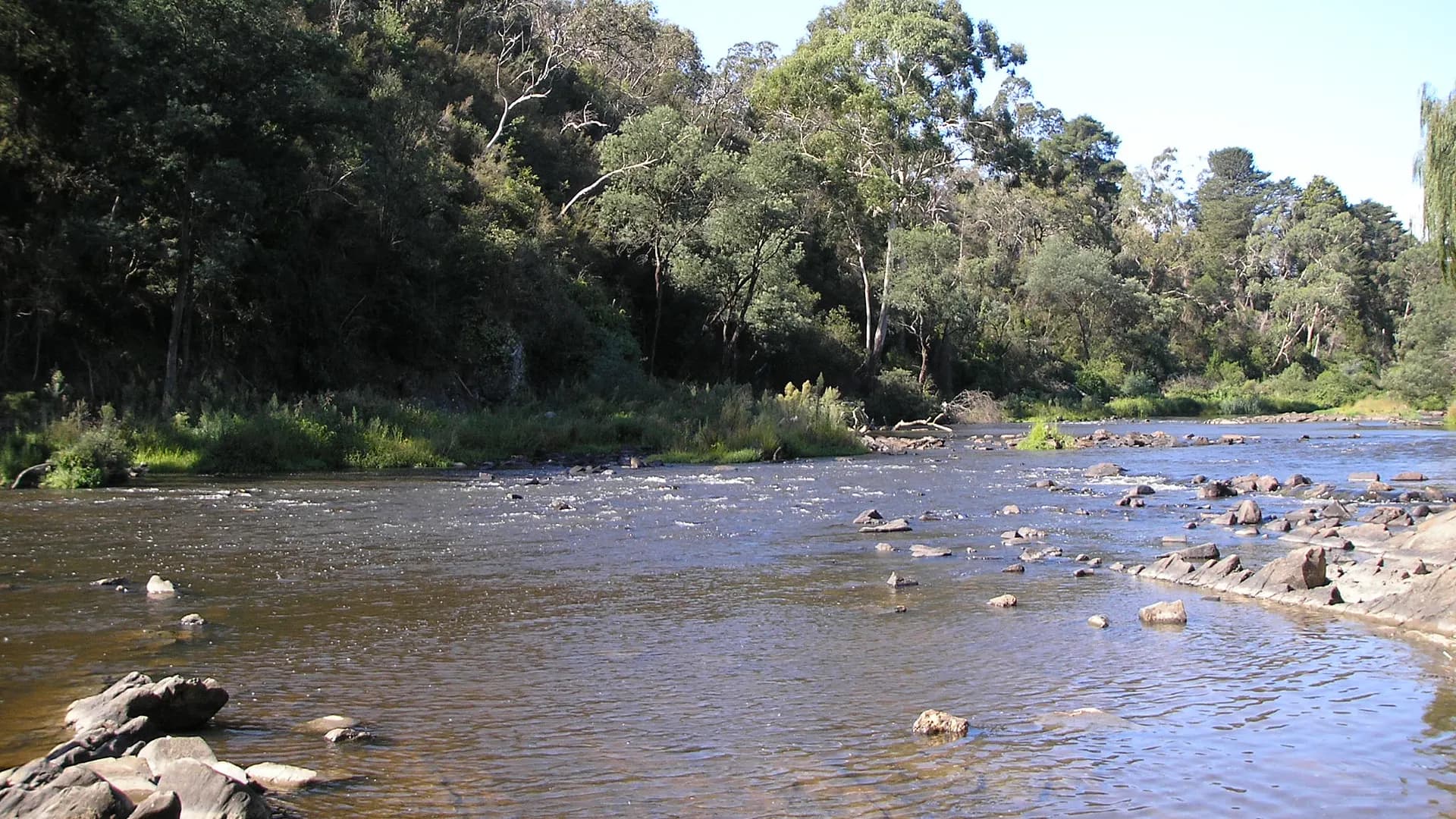 River corridor near Warrandyte State Park picnic areas